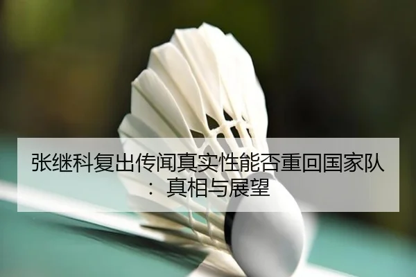 张继科复出传闻真实性能否重回国家队：真相与展望